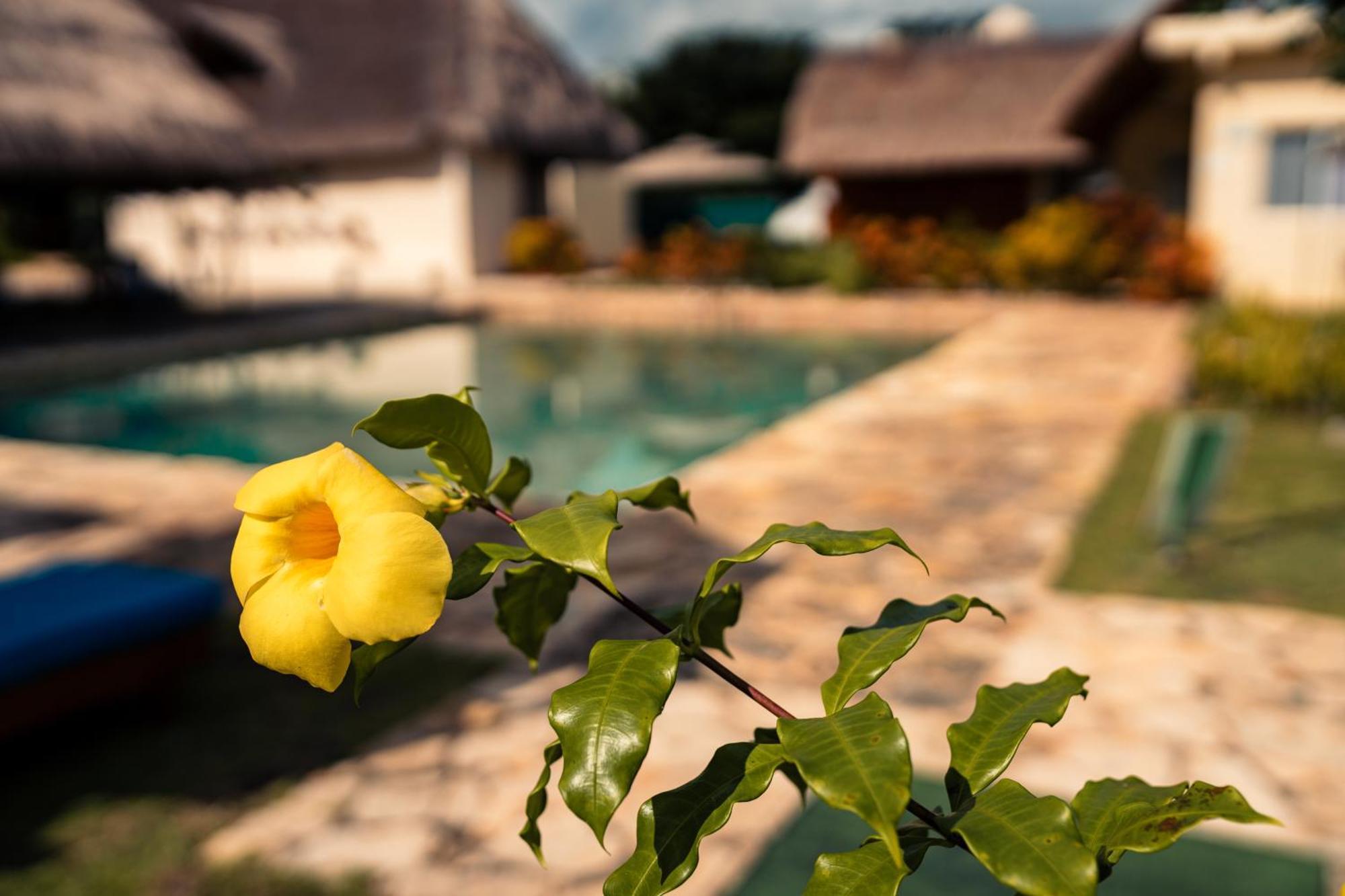 Hotel Hameki Homun Zewnętrze zdjęcie